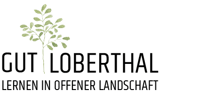 Teamentwicklungskunde Loberthal